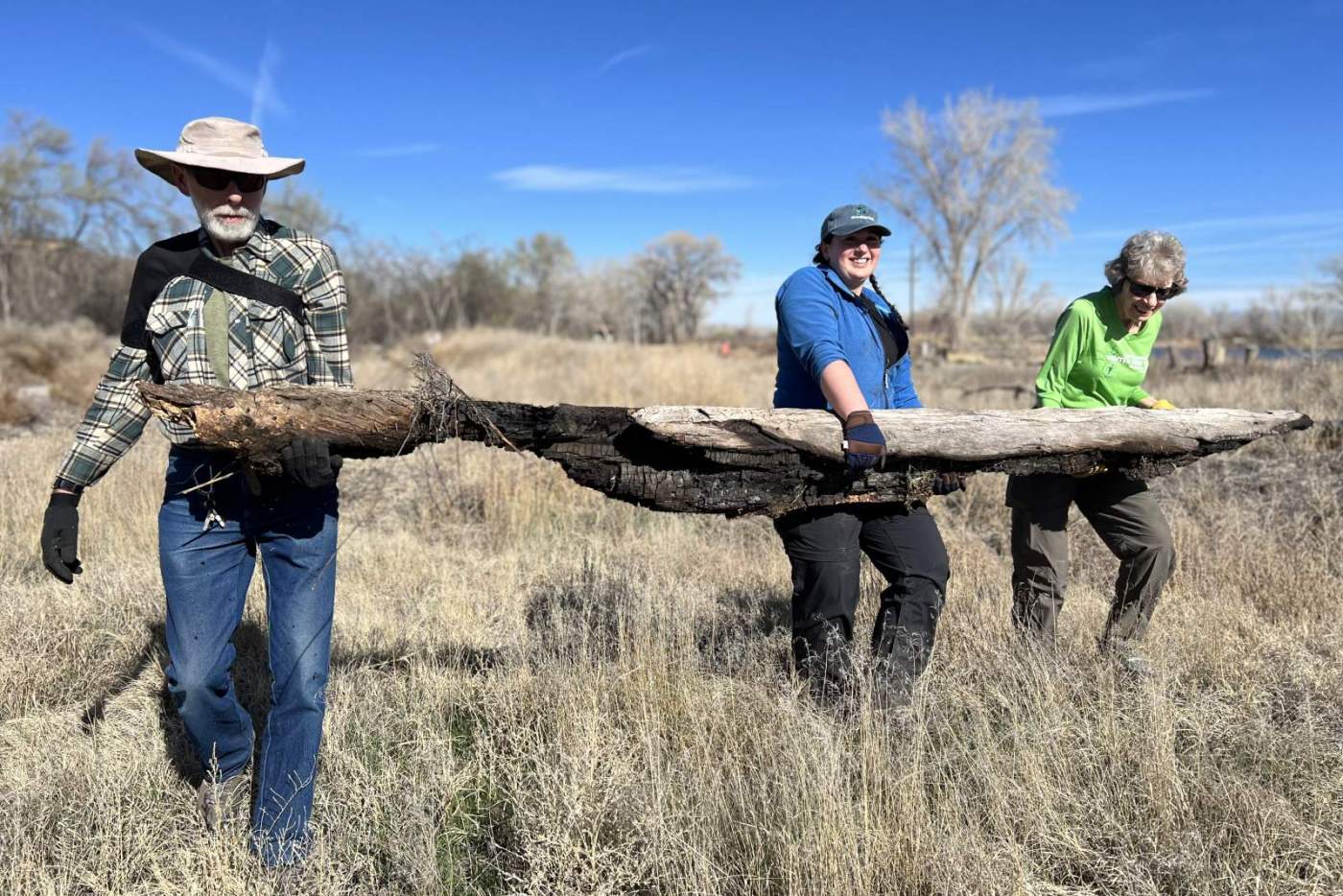 3 volunteers haul a log