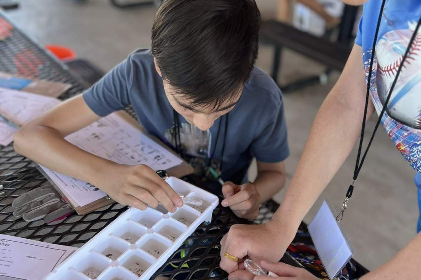 2 boys look at small macroinvertebrates in white ice cube trays