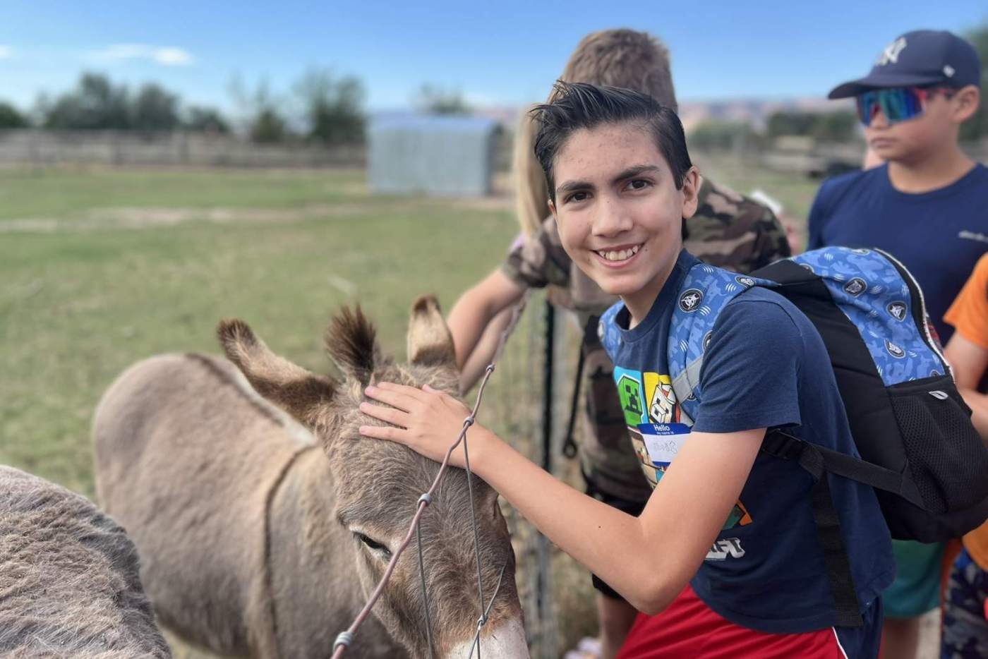 boy pets a donkey over the fence