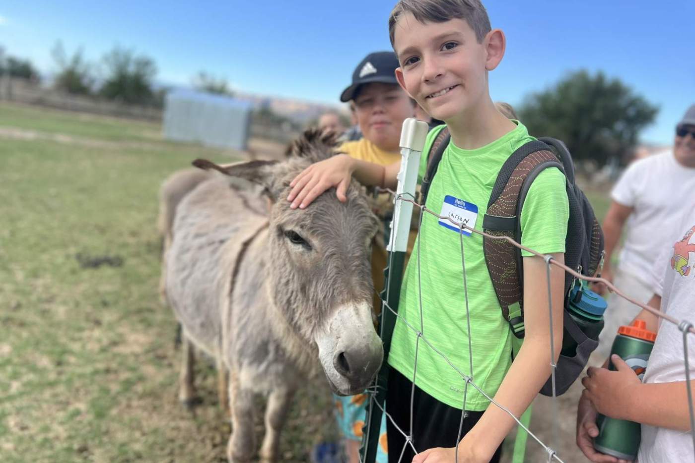 boy in green shirts pets donkey on the head over a wire fence