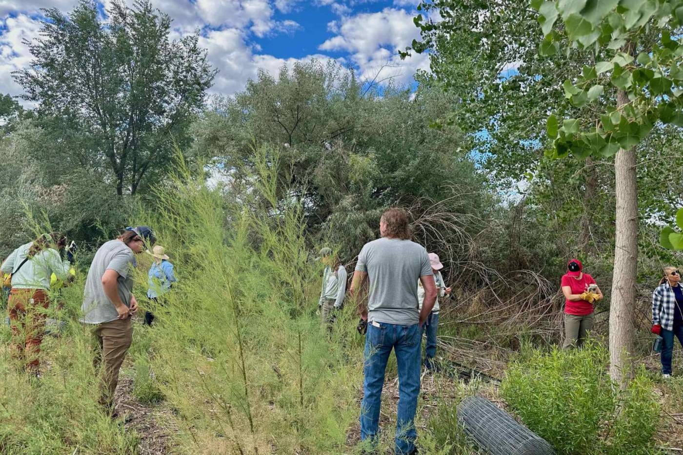 volunteers in riverside area