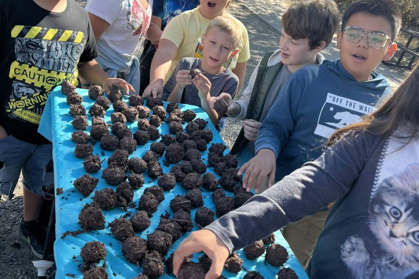 school children check out seedballs