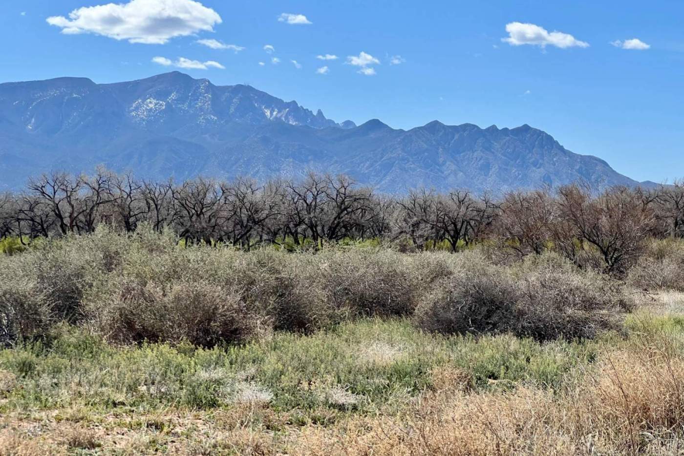 mountain landscape in NM