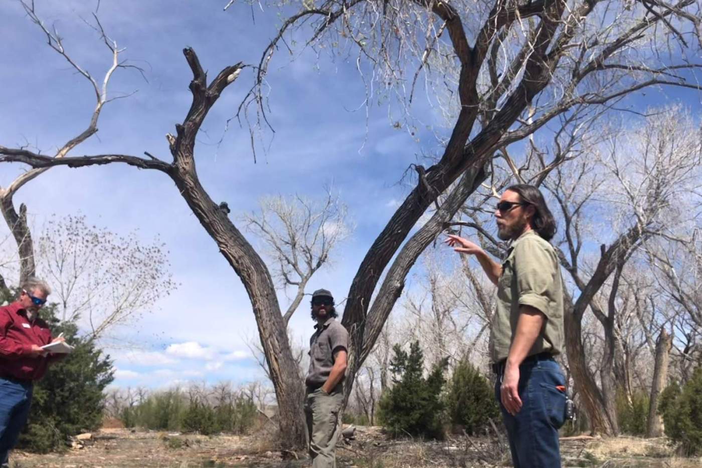 people stand under tree