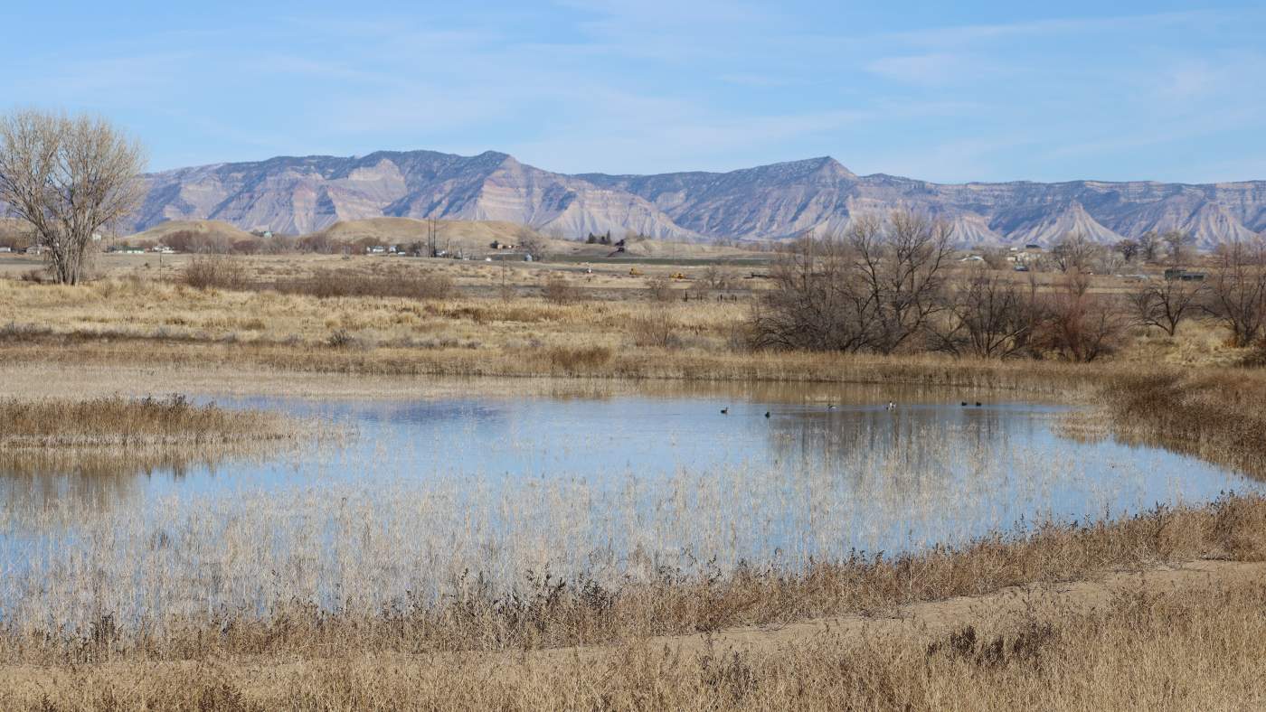 wetland with mountains in background