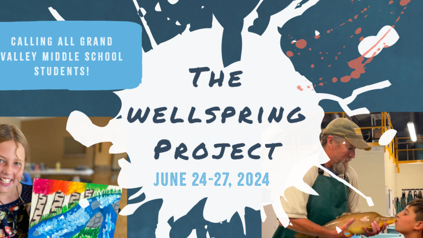 The Wellspring Project flyer
