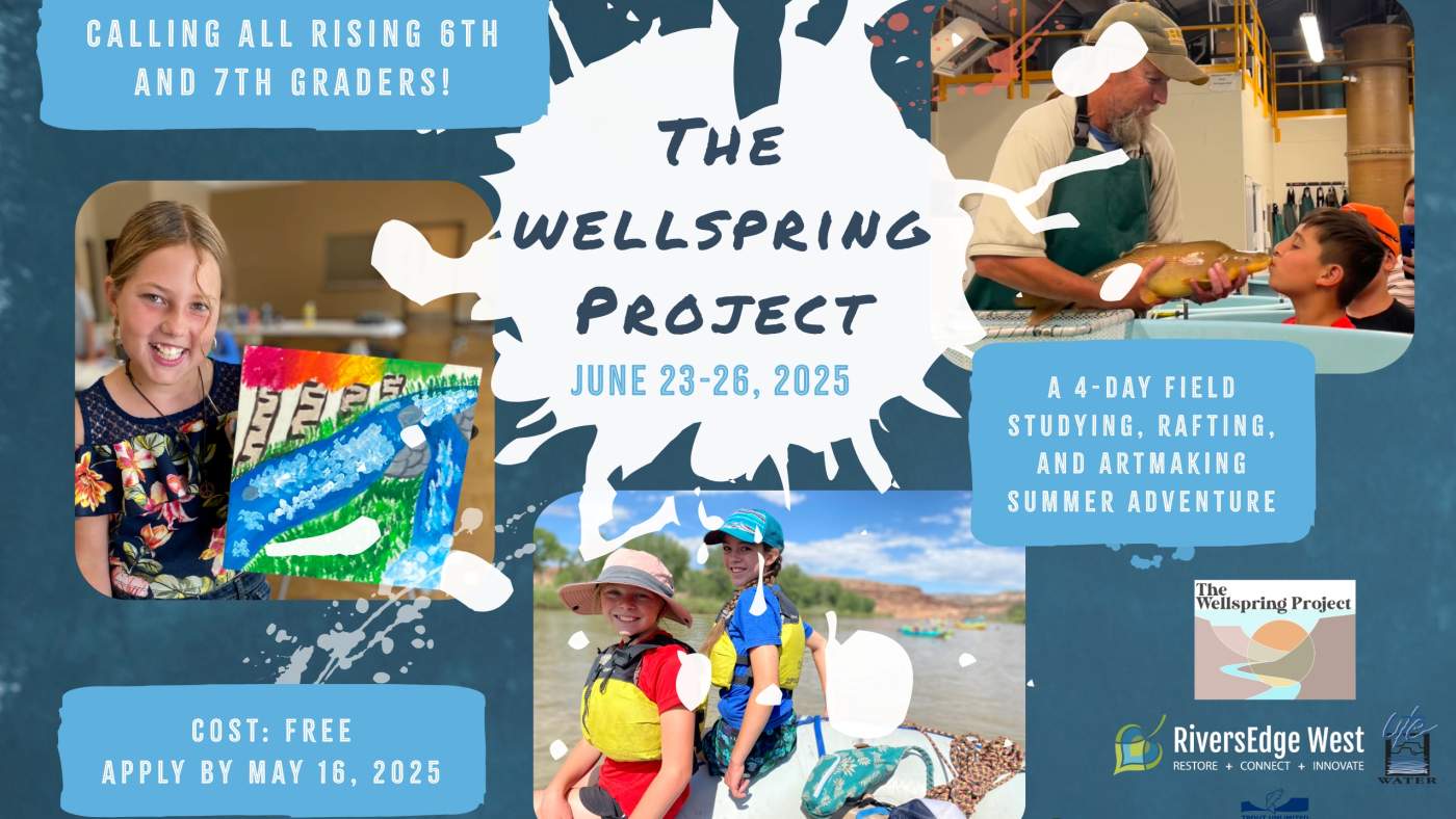 wellspring project camp flyer