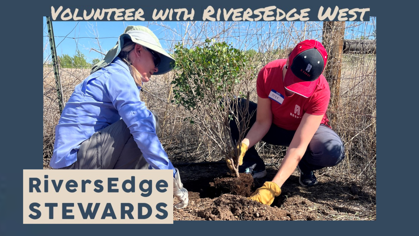 RiversEdge Stewards planting flyer